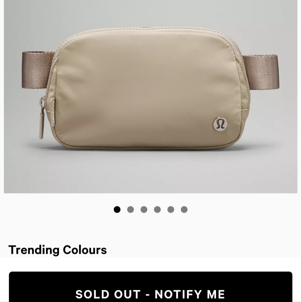 Rare Sold Out Raw Linen Everywhere Belt Bag 1L
